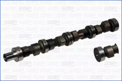 WILMINK GROUP wg1171502 -  Распредвал